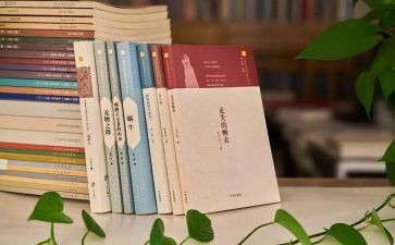 工作总结暨下半年计划5篇