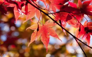 10月安全总结范文5篇