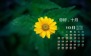 2024年10月工作总结优秀6篇