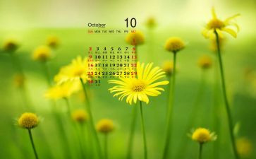 中班10月份月总结6篇