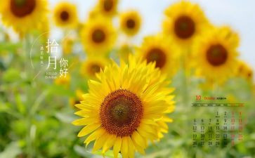 10月消防安全总结7篇