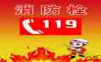 幼儿园119消防安全教育活动方案5篇