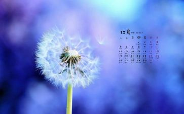 中班12月份的工作总结8篇