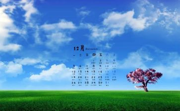 大班12月工作计划月计划7篇
