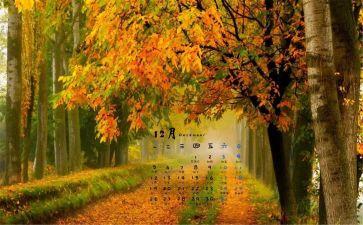 12月幼儿工作计划8篇