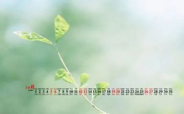 12月份安全周工作总结6篇
