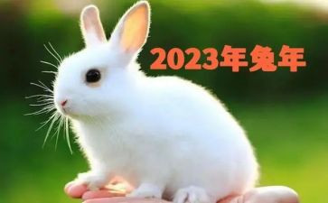2023乡镇敬老月活动总结6篇