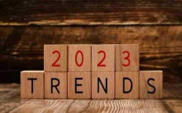 2023年期末工作总结6篇