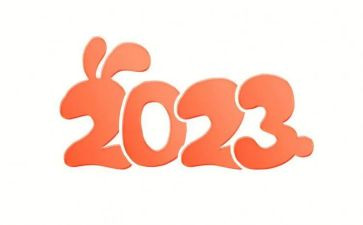 2023年局党支部工作总结优质8篇