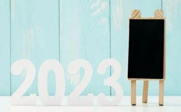 2023年期末工作总结模板6篇