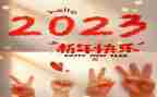 2023年单证员工作总结精选8篇