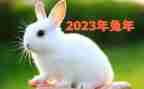 2023年4月份幼儿园月计划参考6篇