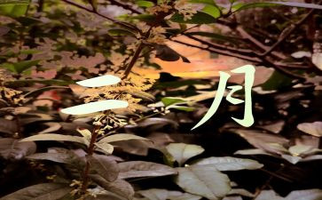 2022月度工作计划范文8篇