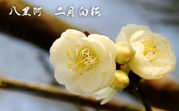 2022年2月的工作报告6篇
