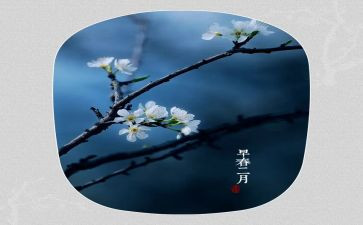 2月保育工作总结7篇