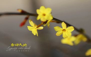 2024年小班2月份的月计划8篇