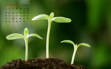 学校2月安全总结6篇