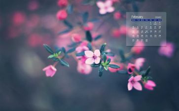 小班2月工作总结8篇