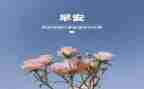 幼儿园小班3月总结8篇