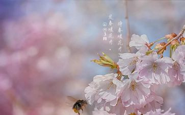 2023月3月工作报告5篇