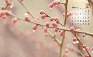 幼儿园大班4月份月总结5篇