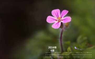 大班4月份月总结6篇