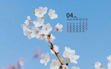 1至4月工作总结优秀8篇