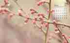 幼儿园大班4月份月总结5篇