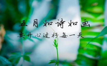 2022年5月工作报告8篇