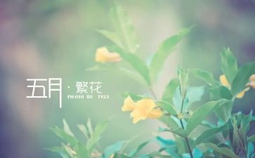 5月安全生产月总结最新5篇