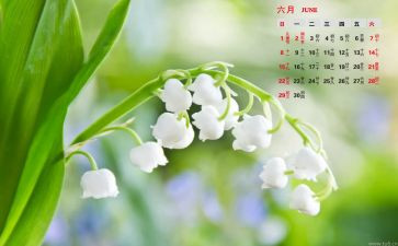 6月消防安全总结6篇