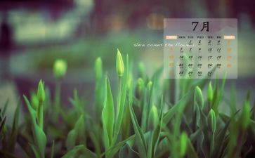 7月的思想汇报6篇