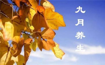 9月工作总结优秀5篇