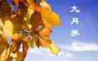 9月工作总结优秀5篇