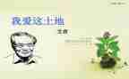 树艾青读后感最新6篇