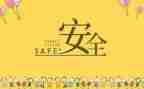 关于安全回活动的总结7篇