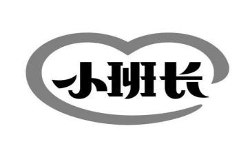 2024年部队班长半年总结6篇