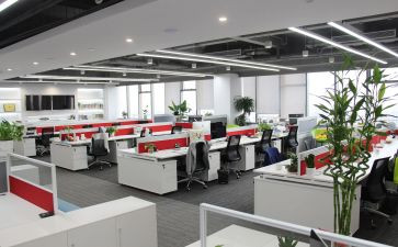 办公室社保工作总结5篇