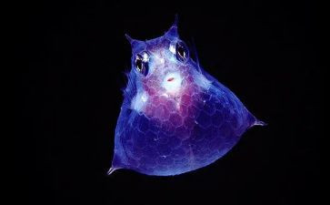教学反思大生物精选6篇