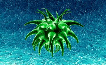 本学期生物教学计划5篇