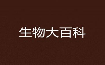生物教师的个人述职报告范文8篇