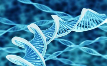 初一的生物教学计划下学期5篇