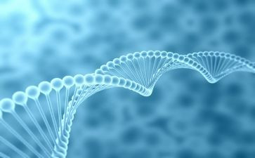 八上生物与教学反思精选5篇