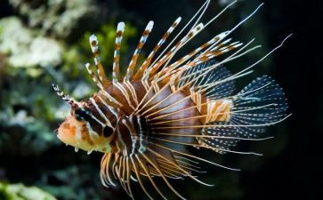 生物实验高中工作计划8篇