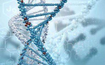 教学反思初中生物7篇