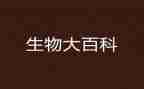 高二的生物教学计划第二学期5篇