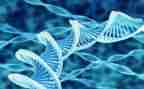 初中生物实验教学反思7篇