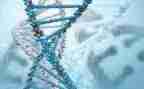 初二上教学计划生物8篇