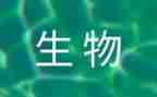 生物教学工作计划八上优质8篇
