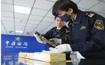 年度报关行工作总结6篇